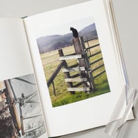 [サイン入/Signed] In The Vicinity / Ed Panar(エド・パナル)