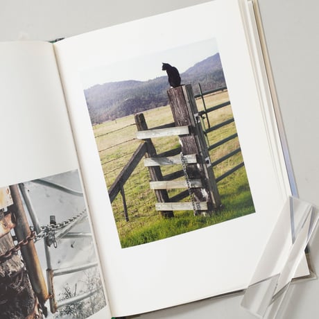 [サイン入/Signed] In The Vicinity / Ed Panar(エド・パナル)