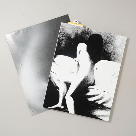[サイン入/Signed] Session Press 07 垂乳根 / 横田大輔(Daisuke Yokota)