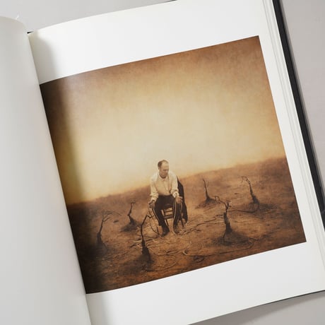 The Architect's Brother / Robert & Shana Parkeharrison(ロバート&シャナ・パークハリソン)