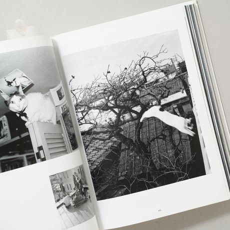 Araki. 45th Ed. / 荒木経惟(Nobuyoshi Araki)