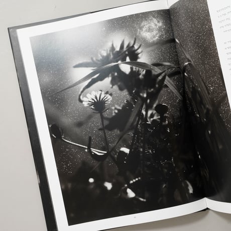 Celestial Nights / Neil Folberg(ニール・フォルバーグ)
