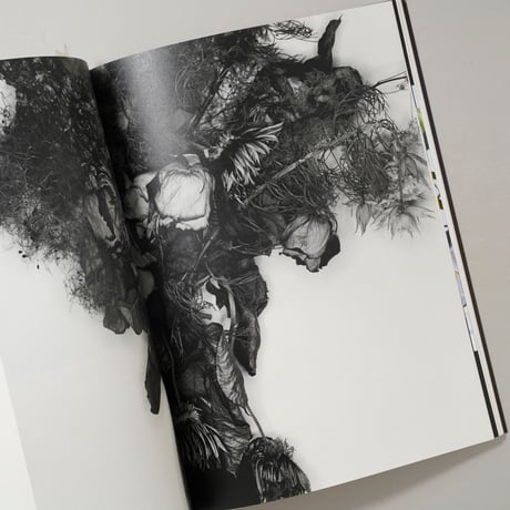 花人生 / 荒木経惟(Nobuyoshi Araki)