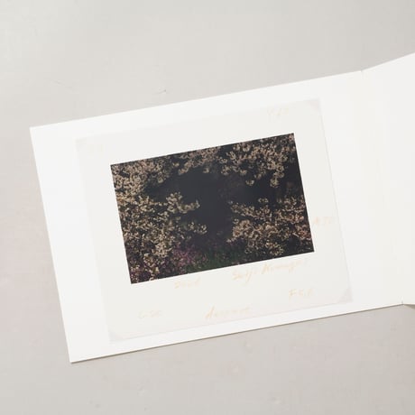 [新刊サイン入/New,Signed] 写真は手ざわり / 熊谷聖司(Seiji Kumagai)