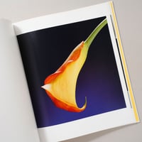 Flowers / Robert Mapplethorpe(ロバート・メイプルソープ)