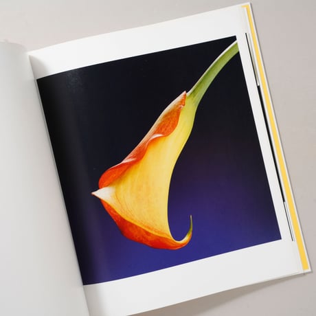 Flowers / Robert Mapplethorpe(ロバート・メイプルソープ)