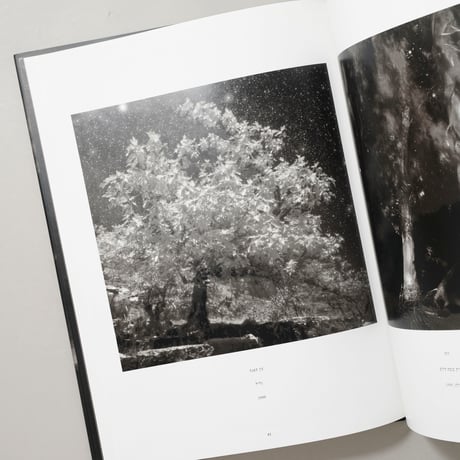 Celestial Nights / Neil Folberg(ニール・フォルバーグ)