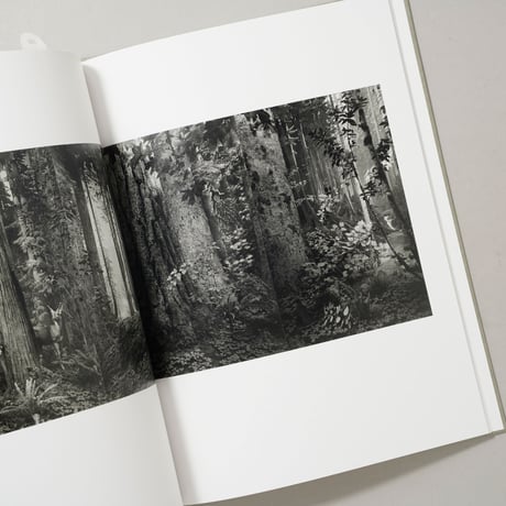 今昔三部作 Past and Present in Three Parts / 杉本博司（Hiroshi Sugimoto）