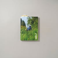 PARTNERS #4 “What do you follow?” / 潮田登久子、荒木経惟、佐内正史、NIGEL SHAFRAN他