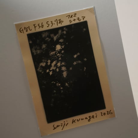 [新刊サイン入/New,Signed] 写真は手ざわり / 熊谷聖司(Seiji Kumagai)