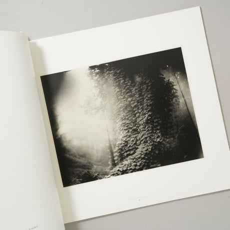 MOTHER LAND / Sally Mann(サリー・マン)