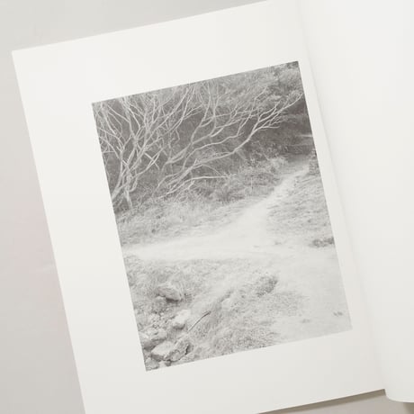 [新刊/New] 火曜日 / 富澤大輔(Daisuke Tomizawa)