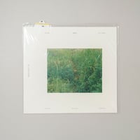 [未開封/Unopened] 通学路 愛媛県 / 佐々木知子(Tomoko Sasaki)