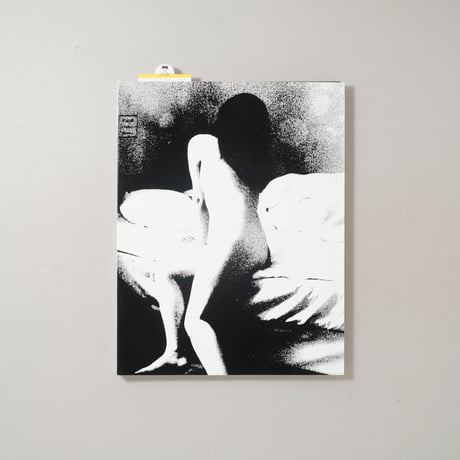 [サイン入/Signed] Session Press 07 垂乳根 / 横田大輔(Daisuke Yokota)