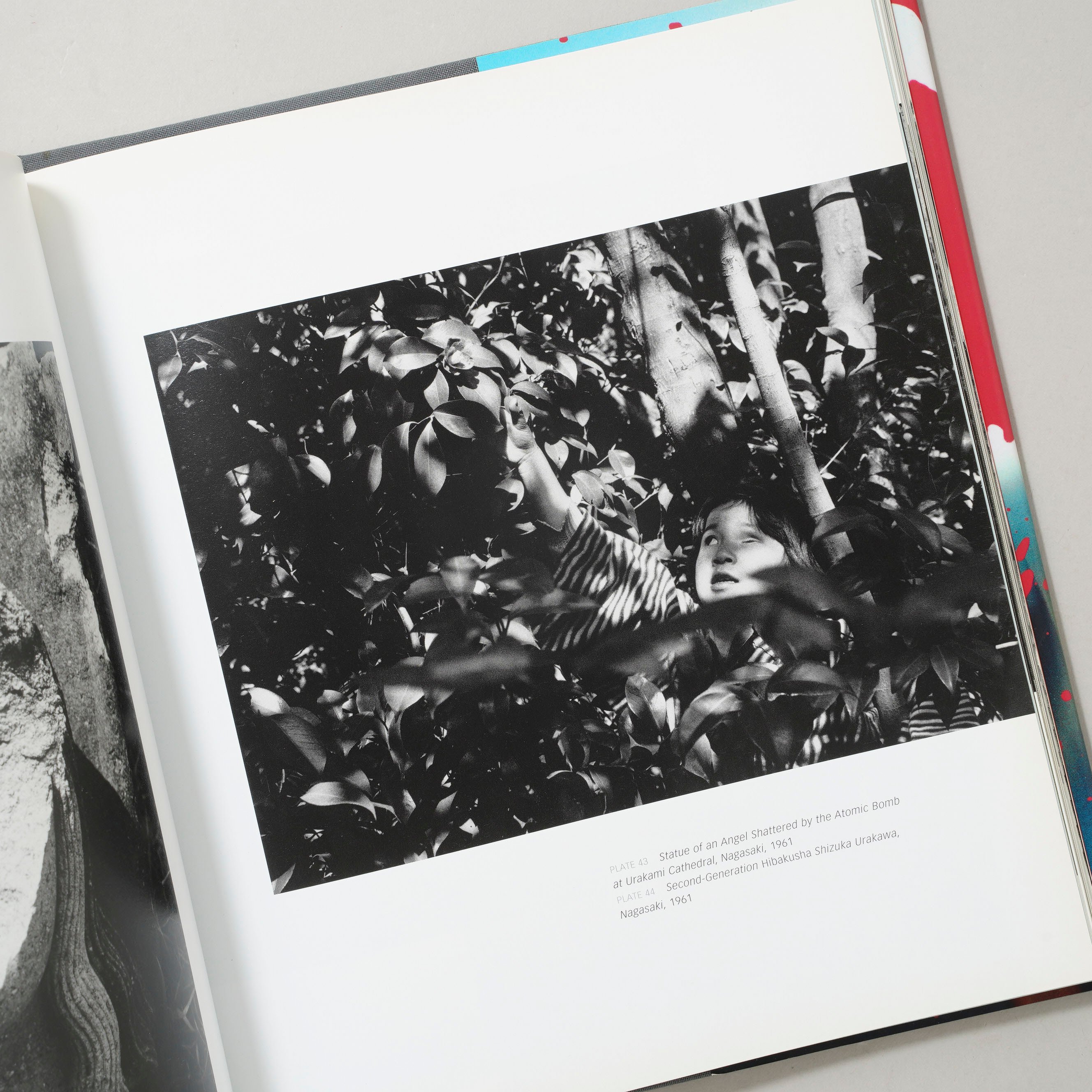 SI TOMATSU SKIN OF THE NATION 東松照明 Skin of the Nation / 東松照明(Shomei Tomatsu) | boo