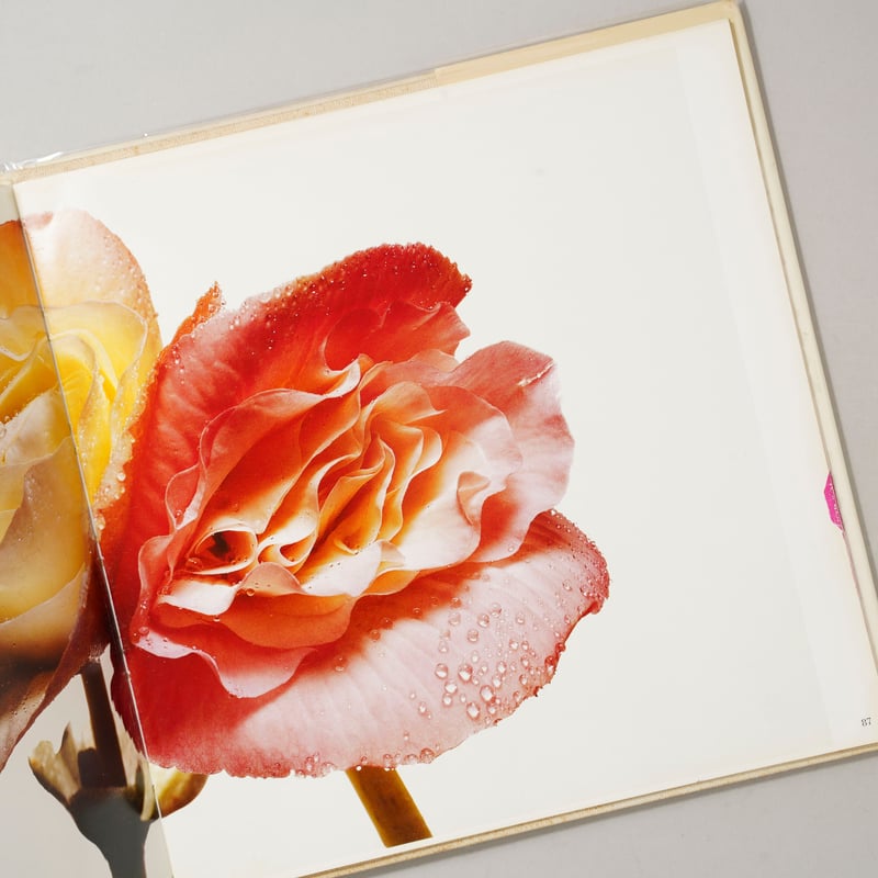 FLOWERS / Irving Penn (アーヴィング・ペン) | bookobscura
