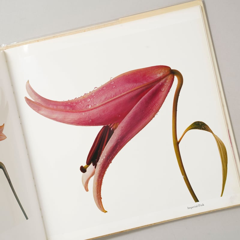 FLOWERS / Irving Penn (アーヴィング・ペン) | bookobscura