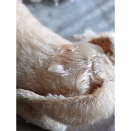 すやすやと心地よく眠る うさぎさん