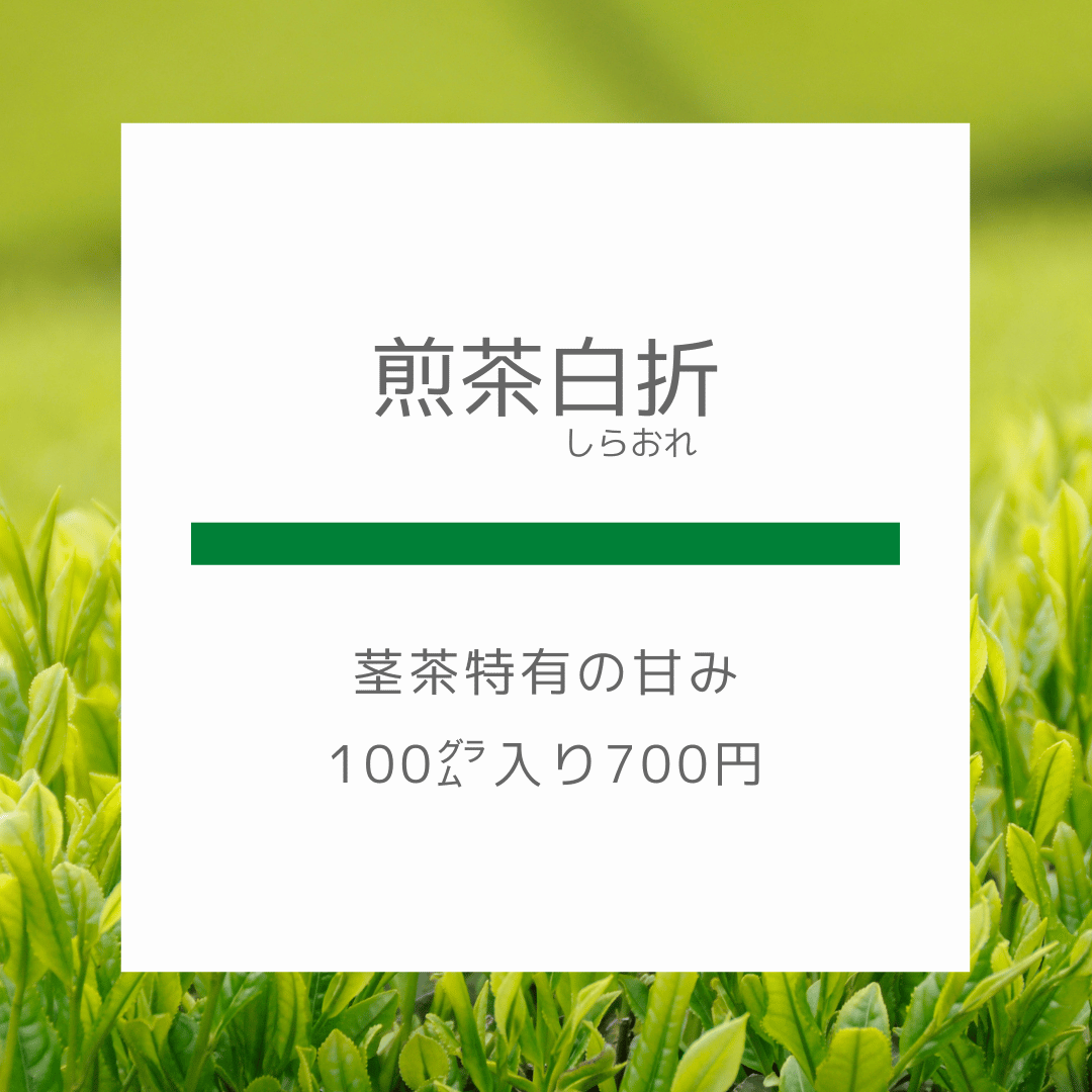 新茶】「特上」煎茶白折 | 田中茶舗STORE