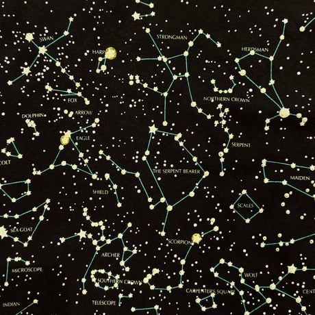 90s "HEAVENLY BODIES" print t-shirt