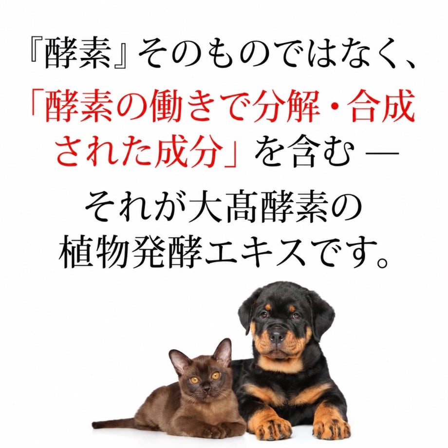 58b63b40100315bc29005c8f
