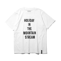 MOUNTAIN RESEARCH,MOUNTAIN STREAM