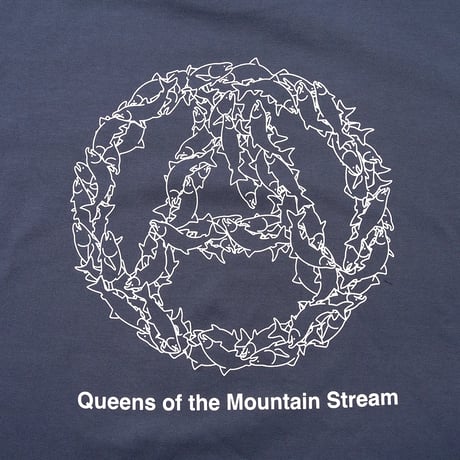 MOUNTAIN RESEARCH,MOUNTAIN STREAM