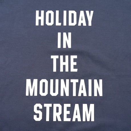 MOUNTAIN RESEARCH,MOUNTAIN STREAM