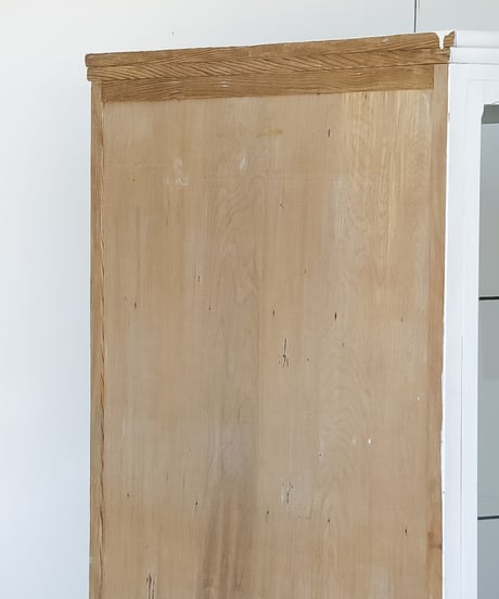 医療用のホワイトケビント