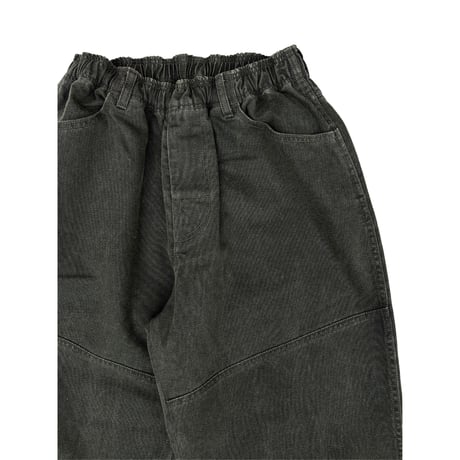 Pigment Duck Pant