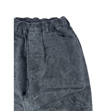Pigment Duck Pant