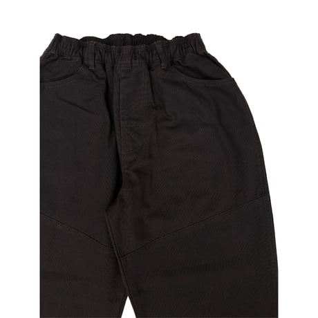 Pigment Duck Pant