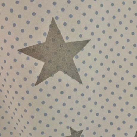 《1点もの》 Little Star _Morning (ホワイト × ブルー)