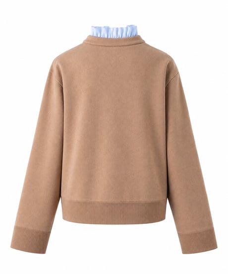 NT11 / CAMEL