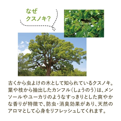 Camphor Air Mist
