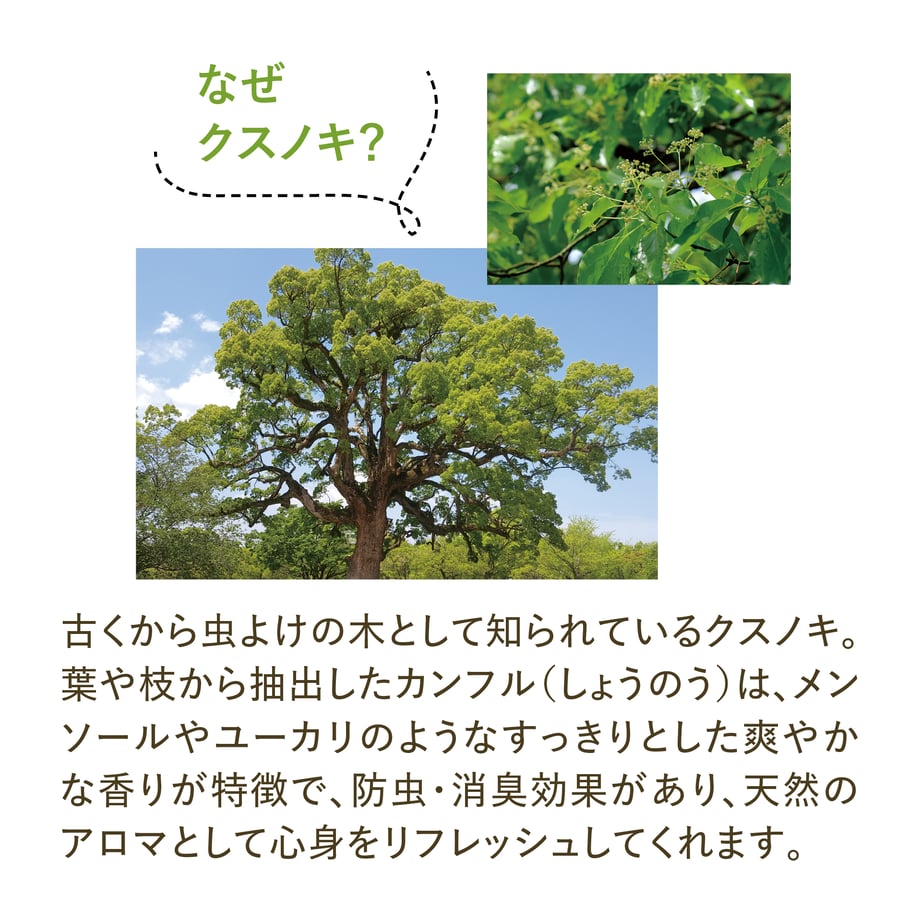 6a6b2251c362b3780f28f05e