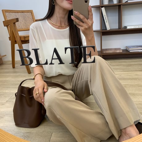 細見えシアーメッシュTee