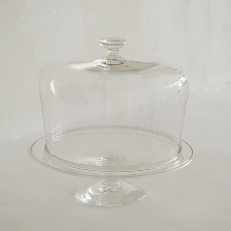 菊地大護　7.コンポート　  Dome（size：M）