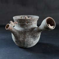 梅本尋司　U19-1　出土釉急須　抜け雀