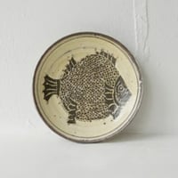 梅本尋司　U56　粉青掻落魚文5寸皿