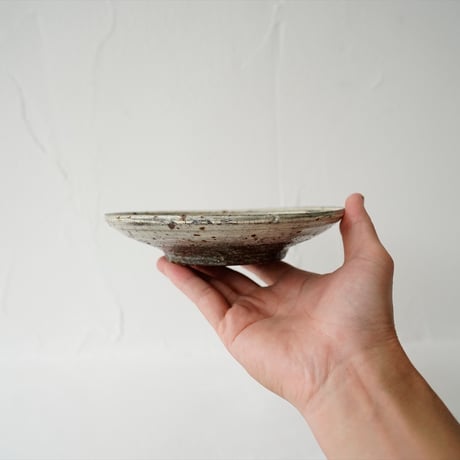 梅本尋司　U61-1　粉青掻落魚文6寸皿