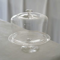 菊地大護　7.  Dome（M）