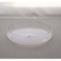 菊地大護　 皿　Plate 　個体差あり