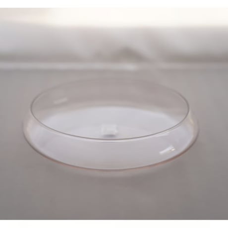 菊地大護　 皿　Plate 　個体差あり