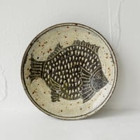 梅本尋司　U61-1　粉青掻落魚文6寸皿