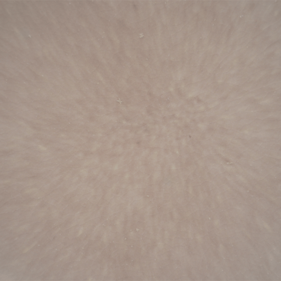 6a5c66ab09d630de36c09721
