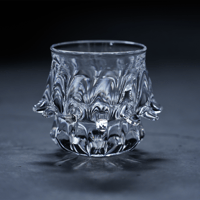 12　杉山洋二 トゲグラス