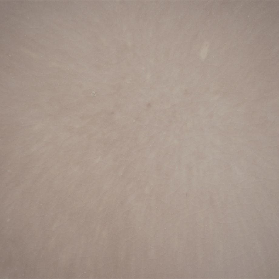 6a5c6588a537ca96ed52e7e1