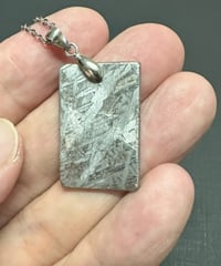 ロシア　セイムチャン隕石（石鉄隕石）③