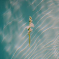 Goldmund - In Each Moment (CD)(NeoClassical)